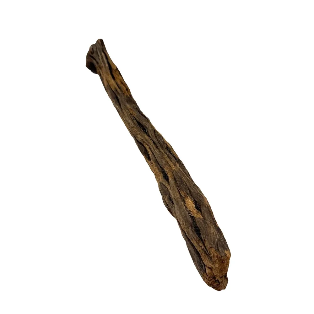 Tall California Driftwood Stick with Deep Grain & Natural Curves – Coastal Decor